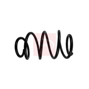 Apec Front Suspension Coil Spring ACS1898