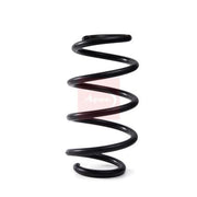 Apec Front Suspension Coil Spring ACS2114