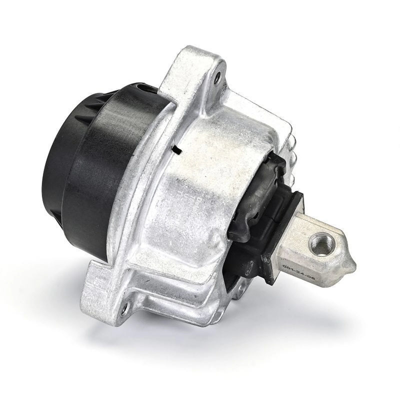 Delphi Engine Mount Mounting both sides TEM255