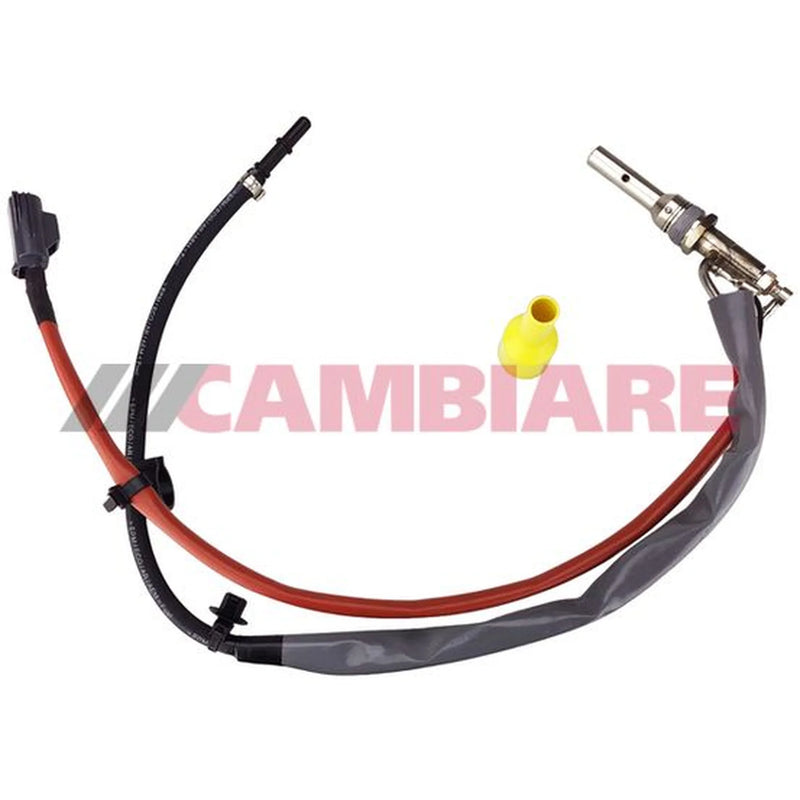 Cambiare DPF Injection Unit VE521010