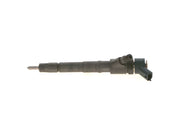 Bosch 0445110248 Injector Nozzle