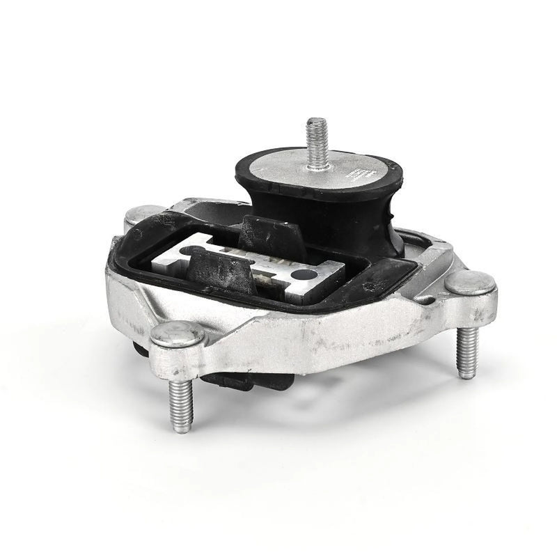 Delphi Automatic Transmission Mounting Rear TEM275