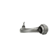 Delphi Control/Trailing Arm Rear TC6391