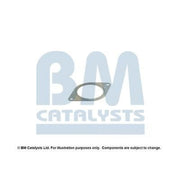 BM Catalysts Fitting Kit FK11607A FK11607A