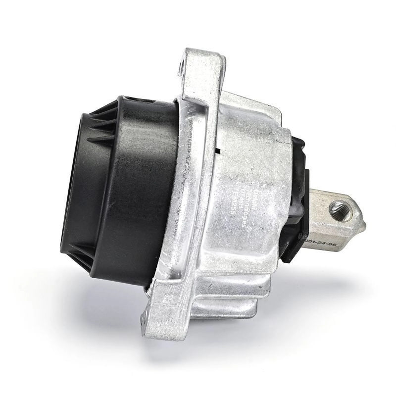 Delphi Engine Mount Mounting both sides TEM255