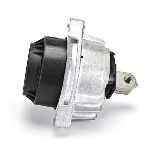 Delphi Engine Mount Mounting both sides TEM255