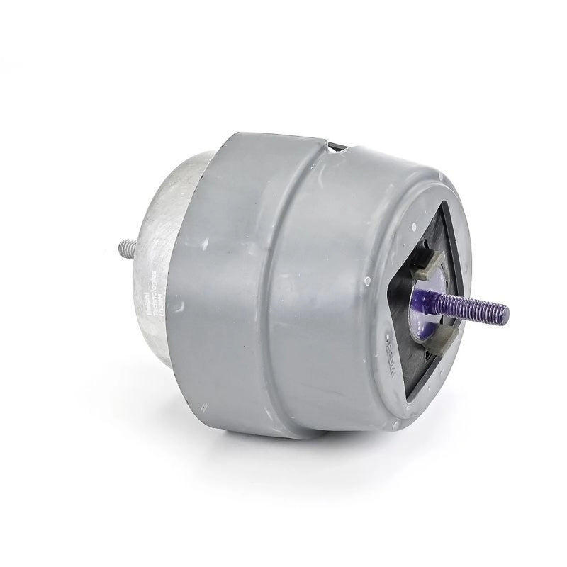 Delphi Engine Mount Mounting Front TEM234