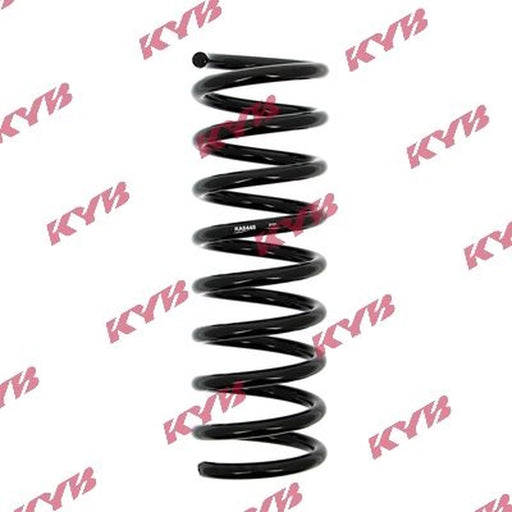 KYB Rear Suspension Coil Spring RA6448