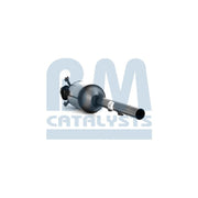 BM Catalysts Dpf BM11233
