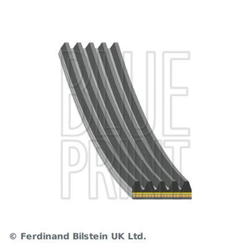 Blue Print Multi V-Ribbed Drive Belt AD05A1495