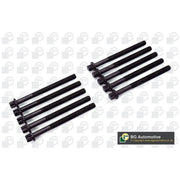 BGA Cylinder Head Bolt Set M10 BK2339