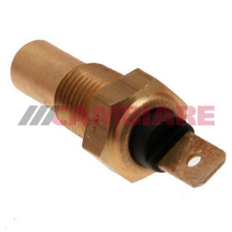 Cambiare Coolant Temperature Sensor VE718041