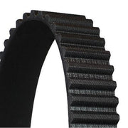 Continental CTAM Timing Belt Cambelt 192 Teeth CT829