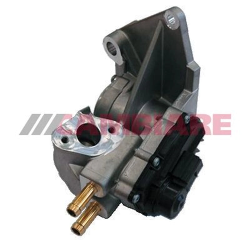 Cambiare Exhaust Gas Recirculation Valve VE360045