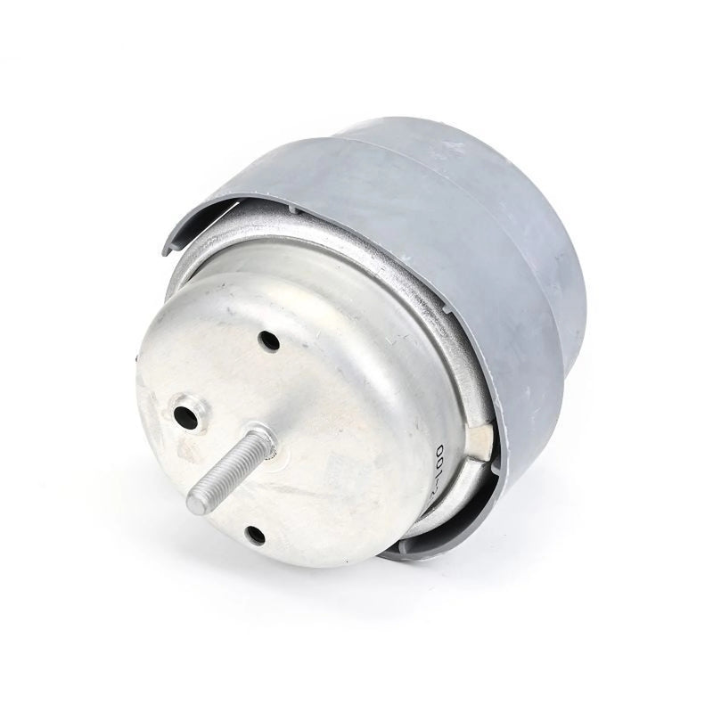 Delphi Engine Mount Mounting Front TEM288