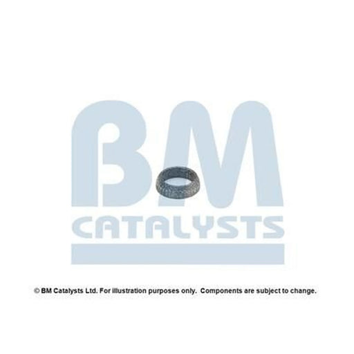 BM Catalysts Fitting Kit FK90531A FK90531A
