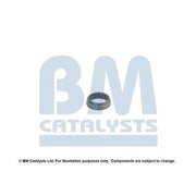 BM Catalysts Fitting Kit FK90195A FK90195A