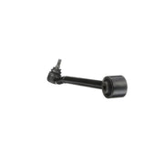 Delphi Control/Trailing Arm Rear TC6344