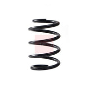 Apec Front Suspension Coil Spring ACS2252