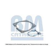 BM Catalysts Fitting Kit FK11134A FK11134A