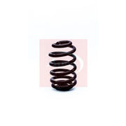 Apec Rear Suspension Coil Spring ACS1316