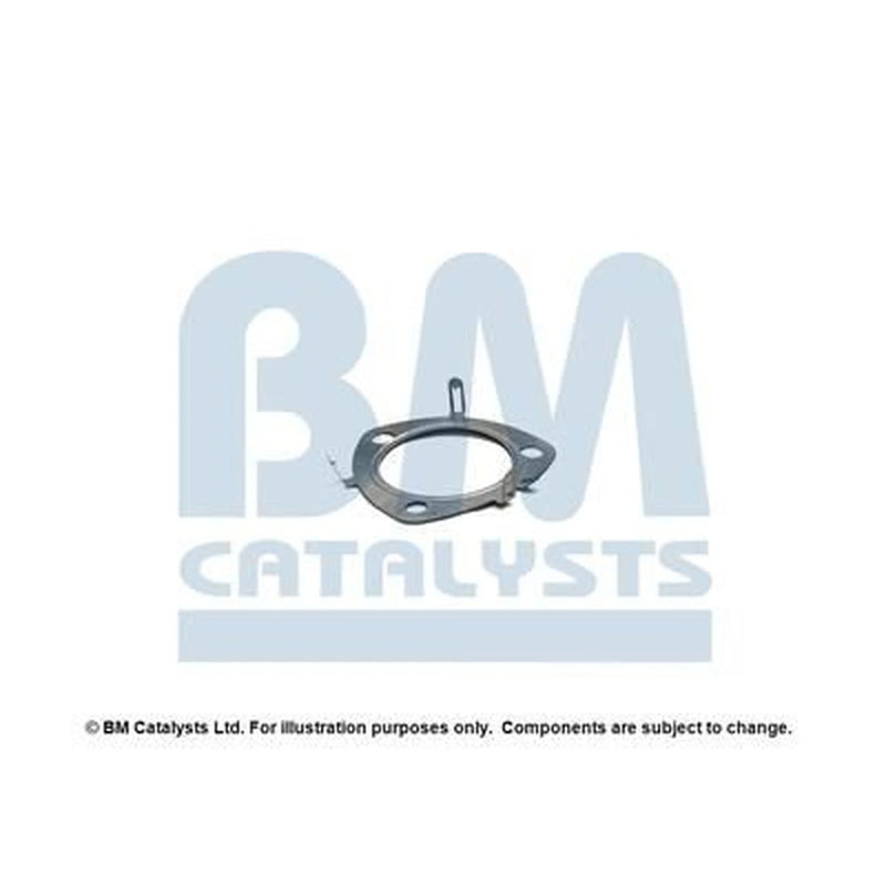 BM Catalysts Fitting Kit FK11259A FK11259A