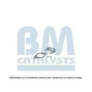 BM Catalysts Fitting Kit FK11309B FK11309B