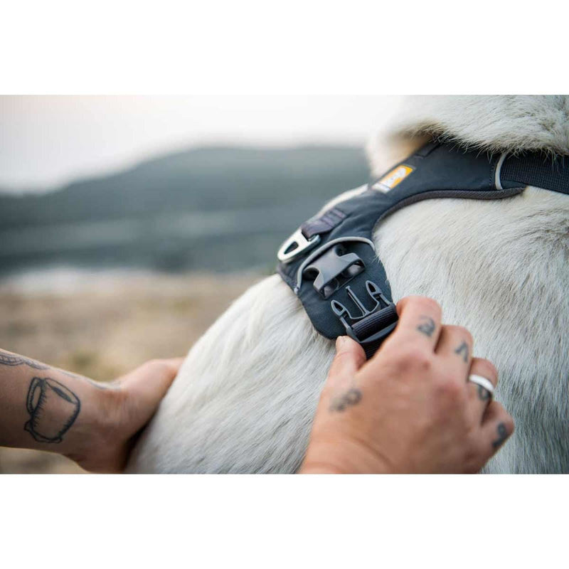 Ruffwear Front Range Dog Harness in Basalt Grey (L / XL) - Ruffwear - Van Life Living