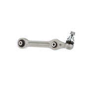 Delphi Control/Trailing Arm Right TC6837
