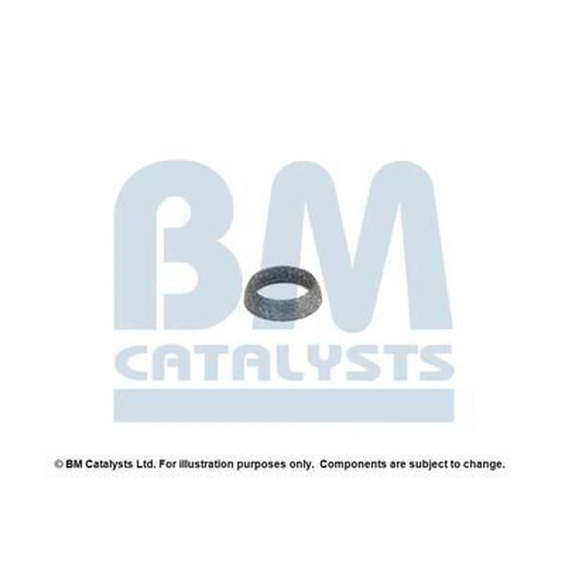 BM Catalysts Fitting Kit FK90248A FK90248A