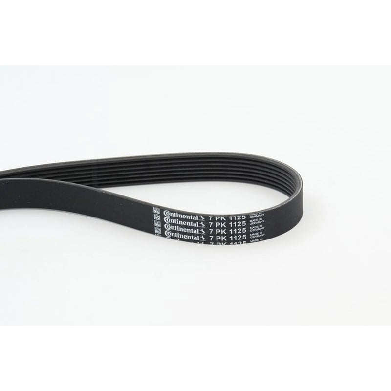 Continental CTAM Multi V-Ribbed Drive Belt 7PK1125