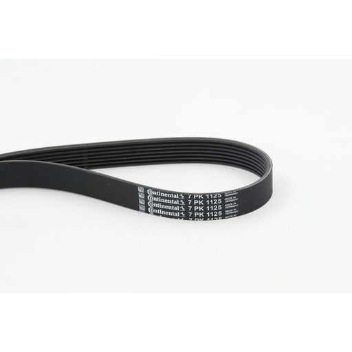 Continental CTAM Multi V-Ribbed Drive Belt 7PK1125