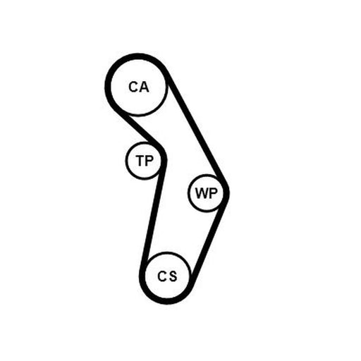Continental CTAM Timing Belt Cambelt 112 Teeth CT1111