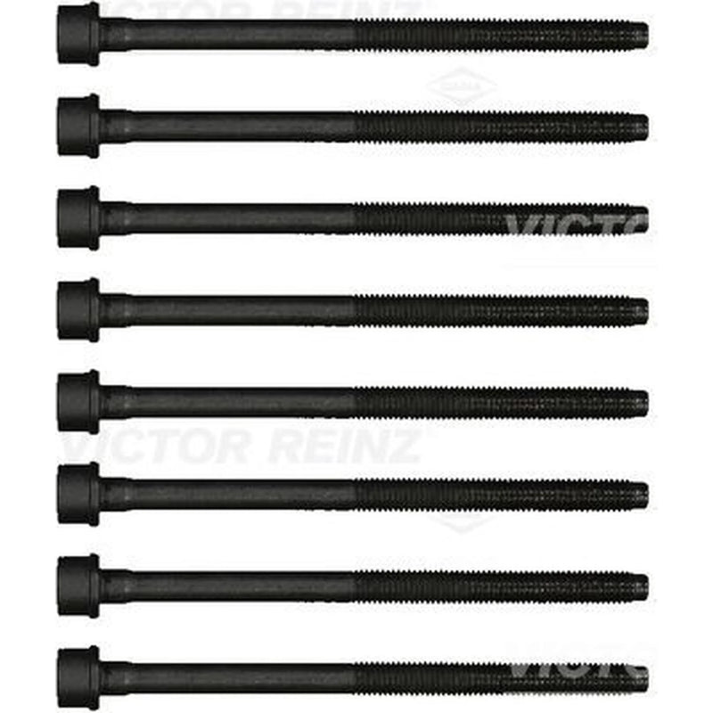 Victor Reinz Cylinder Head Bolt Set M10 14-17428-02