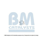 BM Catalysts Fitting Kit FK11165B FK11165B