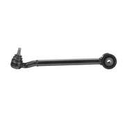 Delphi Control/Trailing Arm Rear TC6343