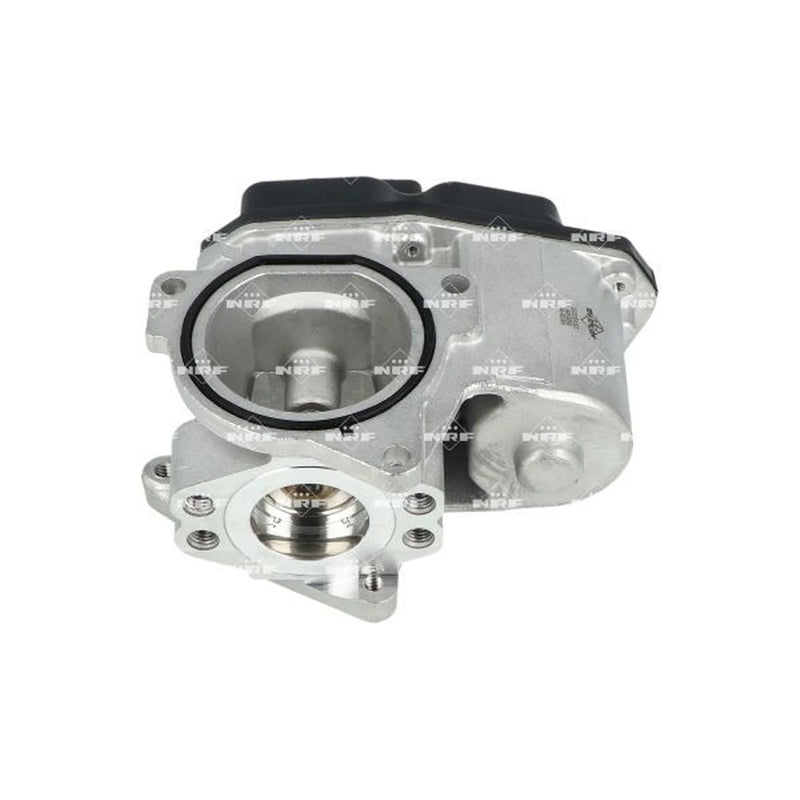 NRF Exhaust Gas Recirculation Valve 48389