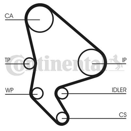 Continental CTAM Timing Belt Cambelt 141 Teeth CT987