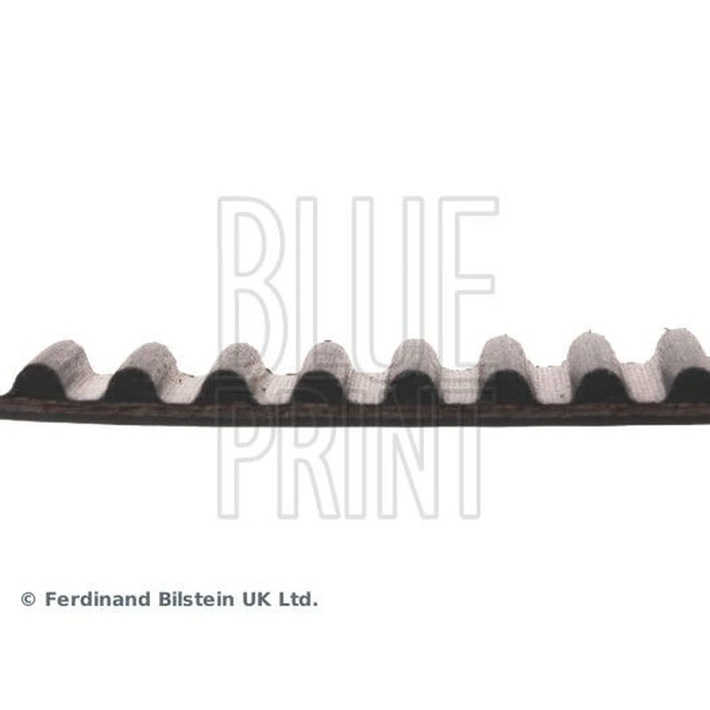 Blue Print Timing Belt Cambelt 111 Teeth ADC47527