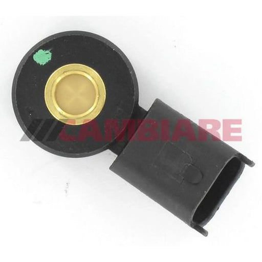 Cambiare Engine Knock Sensor VE369157