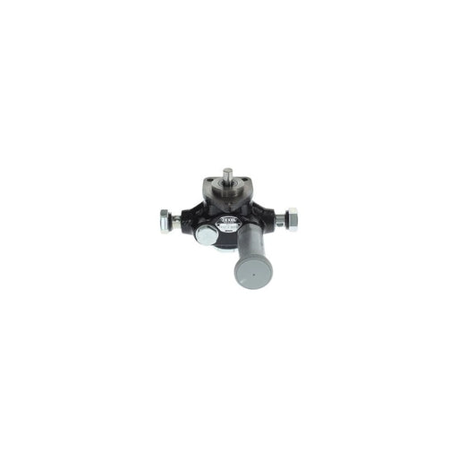 Bosch Fuel Pump Assembly H 105 210 602