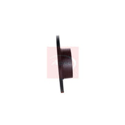 Apec 2 x Solid Rear Brake Discs DSK2097-x2