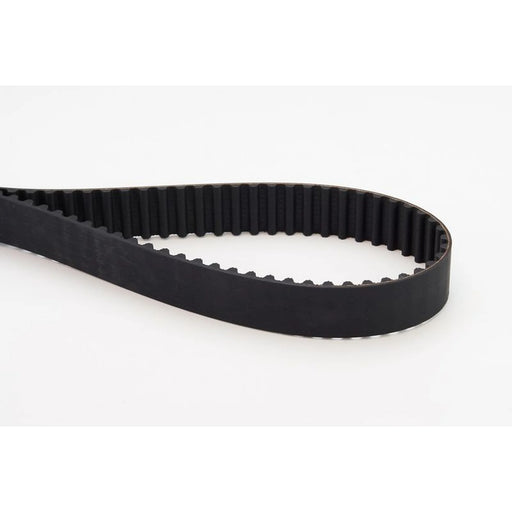 Continental CTAM Timing Belt Cambelt 122 Teeth CT1016