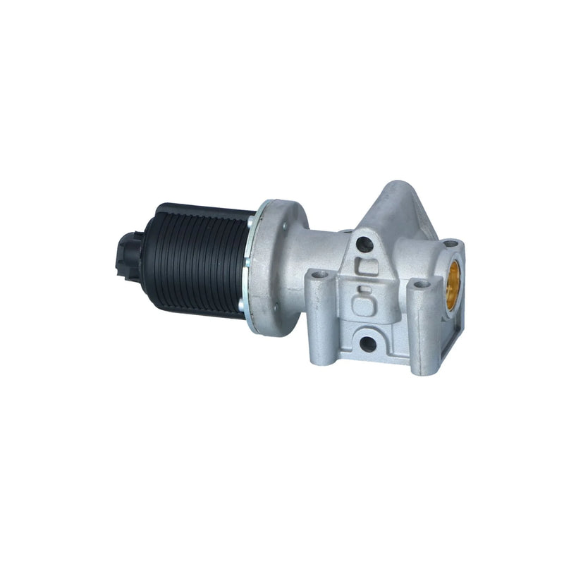 NRF Exhaust Gas Recirculation Valve 48326