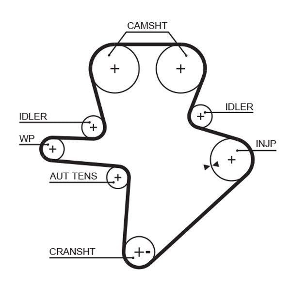 Gates Timing Belt Cambelt Teeth 5586XS