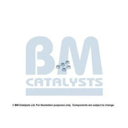 BM Catalysts Exhaust Pipe Mounting Kit FK70220B