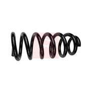 Apec Front Suspension Coil Spring ACS1767