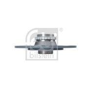 Febi 2 x Solid Rear Brake Discs 43986