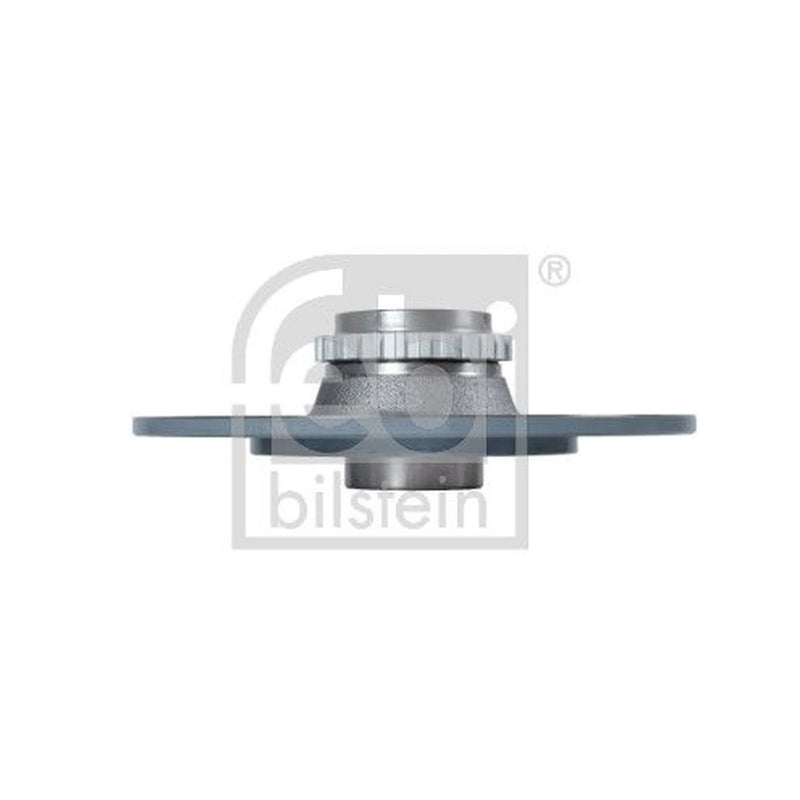 Febi 2 x Solid Rear Brake Discs 43986