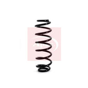 Apec Rear Suspension Coil Spring ACS1138